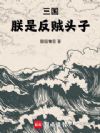 三国:朕是反贼头子